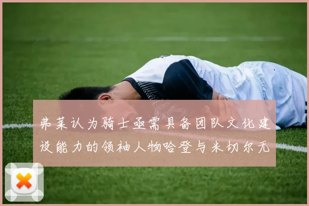 弗莱认为骑士亟需具备团队文化建设能力的领袖人物哈登与米切尔无法胜任